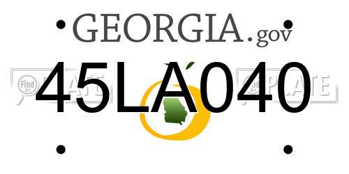 45LA040 Georgia License Plate