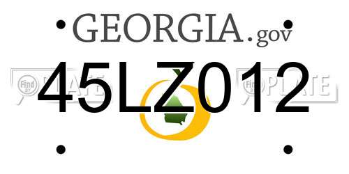 45LZ012 Georgia License Plate
