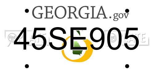 45SE905 Georgia License Plate