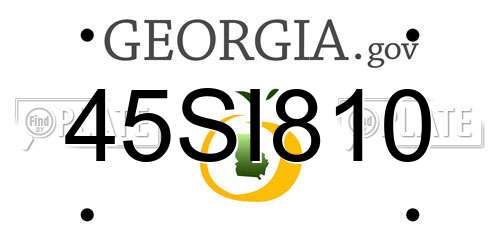 45SI810 Georgia License Plate