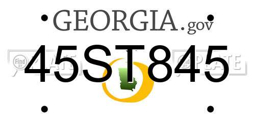 45ST845 Georgia License Plate