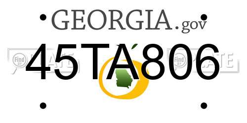 45TA806 Georgia License Plate