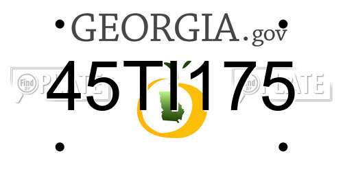 45TI175 Georgia License Plate