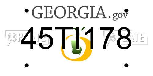 45TI178 Georgia License Plate