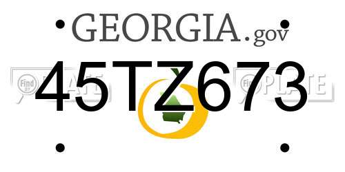 45TZ673 Georgia License Plate