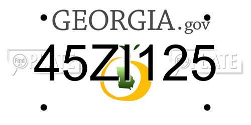 45ZI125 Georgia License Plate