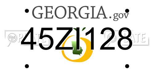 45ZI128 Georgia License Plate