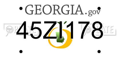 45ZI178 Georgia License Plate