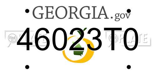 46023T0 Georgia License Plate