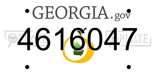 4616047 Georgia License Plate