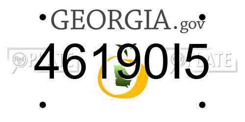 46190I5 Georgia License Plate