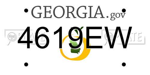4619EW Georgia License Plate