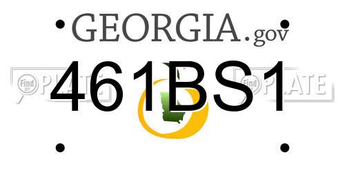 461BS1 Georgia License Plate