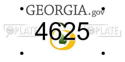 4625 Georgia License Plate
