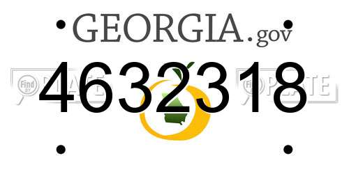 4632318 Georgia License Plate