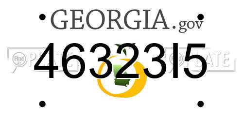 46323I5 Georgia License Plate