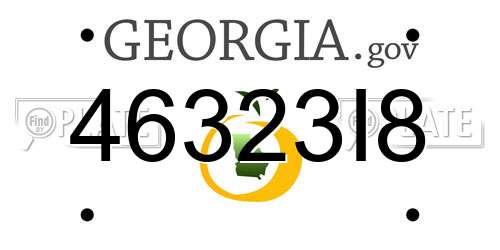 46323I8 Georgia License Plate