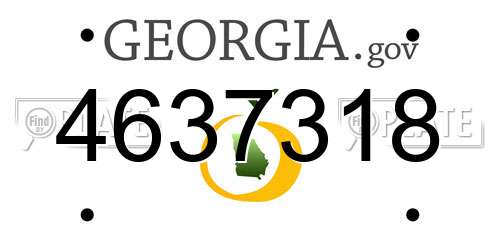 4637318 Georgia License Plate