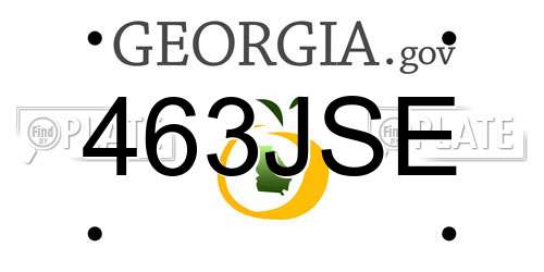 463JSE Georgia License Plate