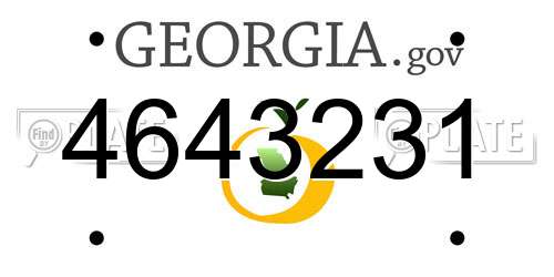 4643231 Georgia License Plate