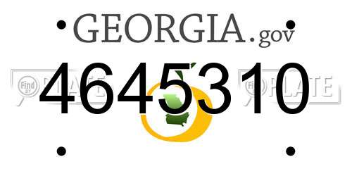 4645310 Georgia License Plate