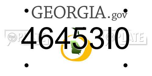 46453I0 Georgia License Plate