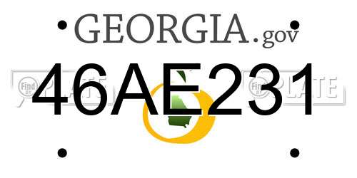 46AE231 Georgia License Plate