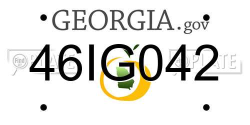 46IG042 Georgia License Plate