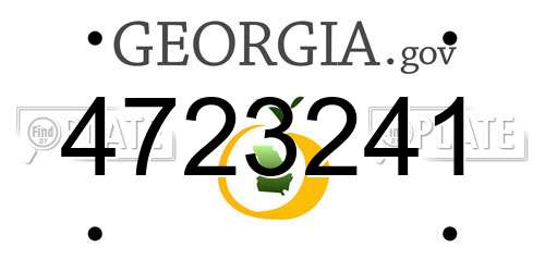 4723241 Georgia License Plate
