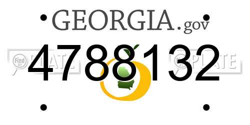 4788132 Georgia License Plate