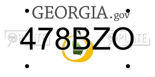 478BZO Georgia License Plate