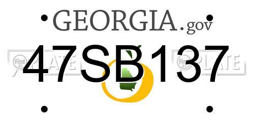 47SB137 Georgia License Plate