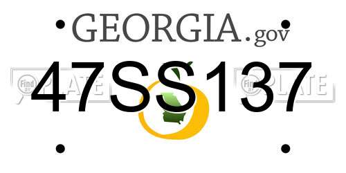 47SS137 Georgia License Plate