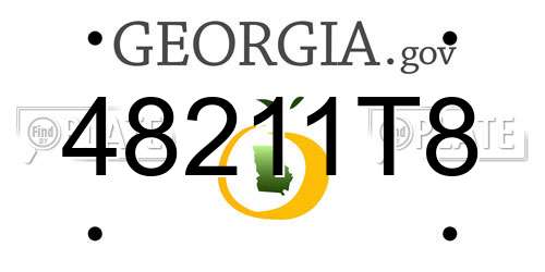 48211T8 Georgia License Plate