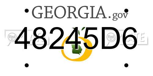 48245D6 Georgia License Plate