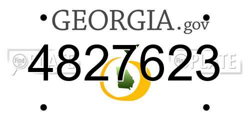 4827623 Georgia License Plate