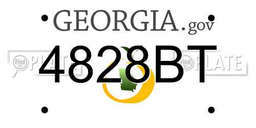 4828BT Georgia License Plate