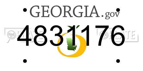4831176 Georgia License Plate