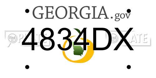 4834DX Georgia License Plate