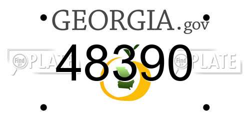 48390 Georgia License Plate