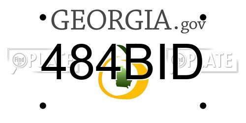 484BID Georgia License Plate