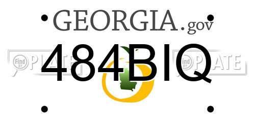 484BIQ Georgia License Plate