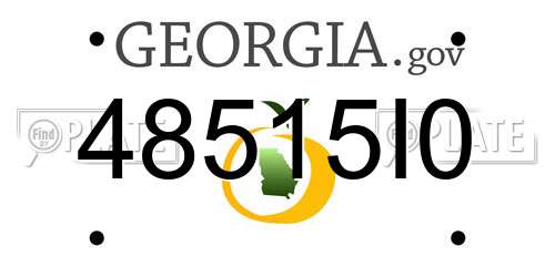 48515I0 Georgia License Plate
