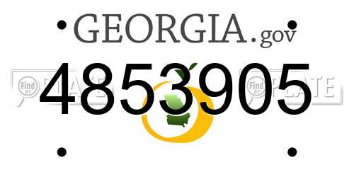 4853905 Georgia License Plate