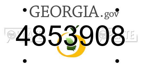 4853908 Georgia License Plate