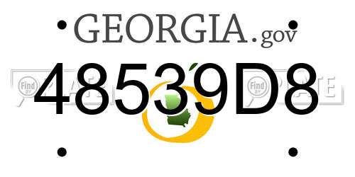 48539D8 Georgia License Plate
