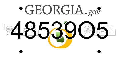 48539O5 Georgia License Plate