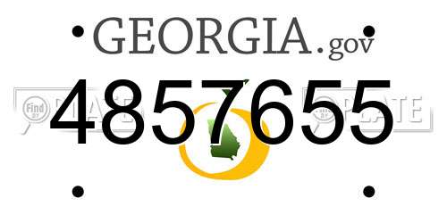 4857655 Georgia License Plate