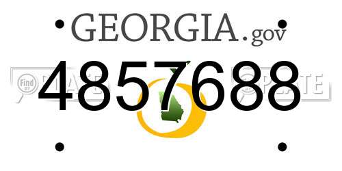 4857688 Georgia License Plate
