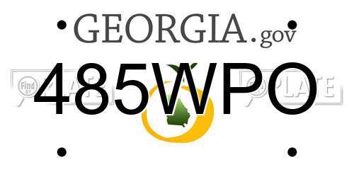 485WPO Georgia License Plate